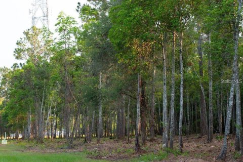Terrain à vendre à Bunnell, Floride № 2411414 - photo 2
