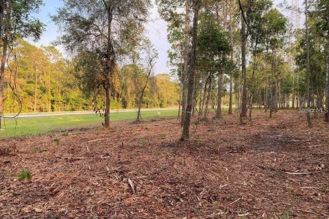 Terrain à Bunnell, Floride № 2411414