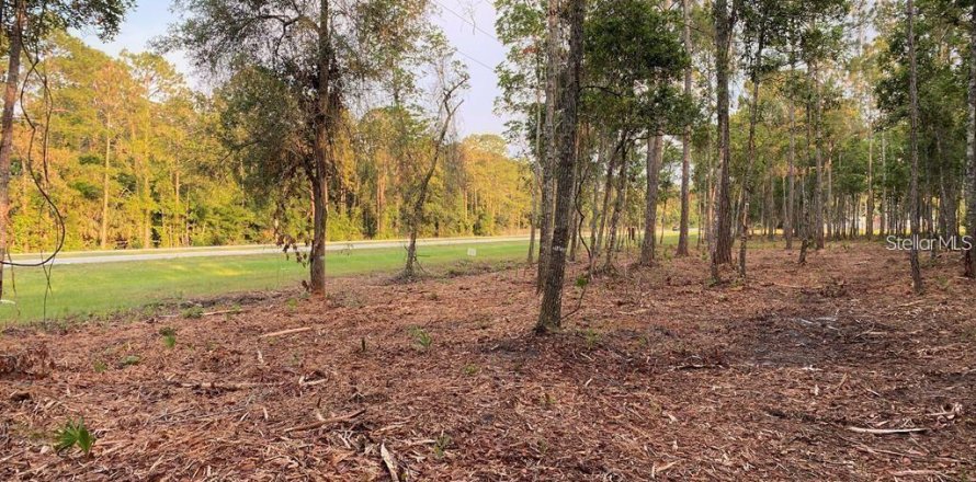 Terrain à Bunnell, Floride № 2411414