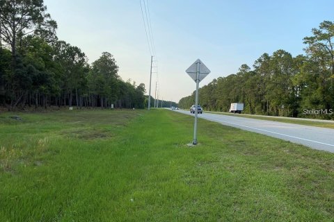 Terrain à vendre à Bunnell, Floride № 2411414 - photo 3