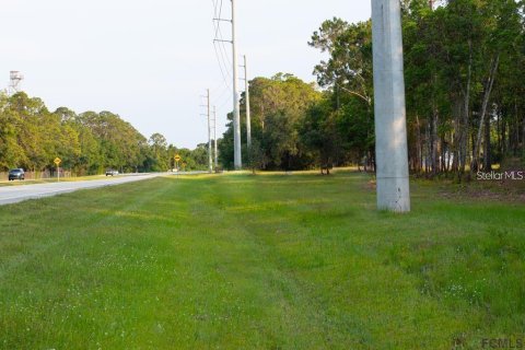 Terrain à vendre à Bunnell, Floride № 2411414 - photo 5