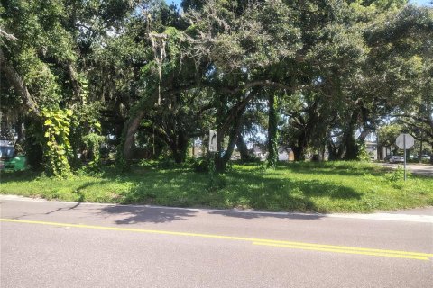 Land in Brandon, Florida № 1851512 - photo 2