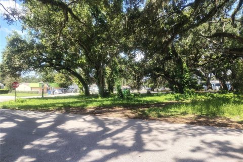 Land in Brandon, Florida № 1851512 - photo 3