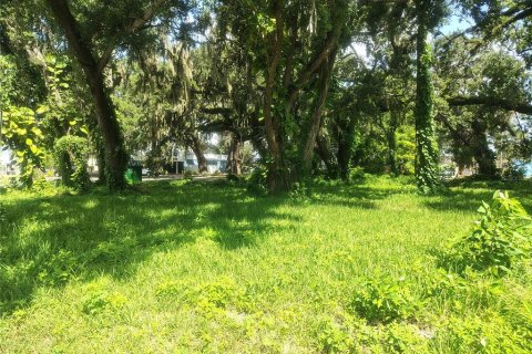 Land in Brandon, Florida № 1851512 - photo 5