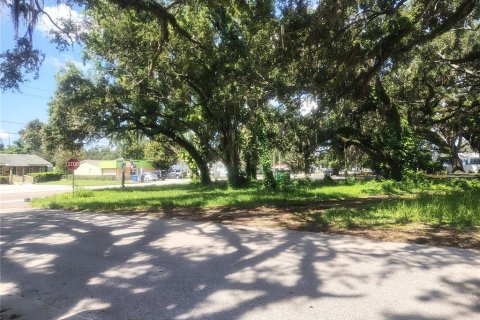 Land in Brandon, Florida № 1851512 - photo 4