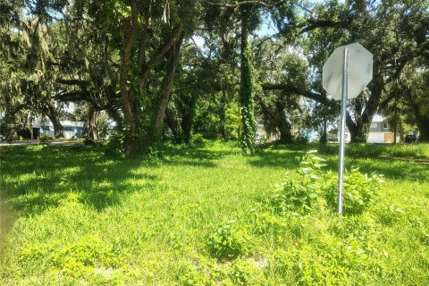 Land in Brandon, Florida № 1851512 - photo 8
