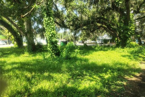 Land in Brandon, Florida № 1851512 - photo 10