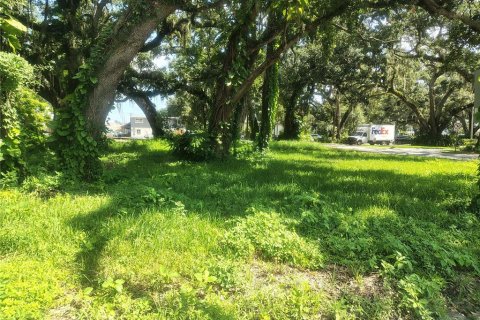 Land in Brandon, Florida № 1851512 - photo 7