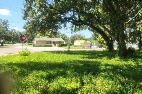 Land in Brandon, Florida № 1851512 - photo 9
