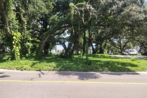 Land in Brandon, Florida № 1851512 - photo 1