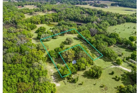 Commercial property in Fruitland Park, Florida 80.27 sq.m. № 2239839 - photo 5