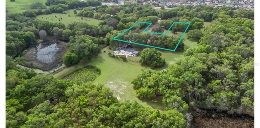 Commercial property in Fruitland Park, Florida 80.27 sq.m. № 2239839