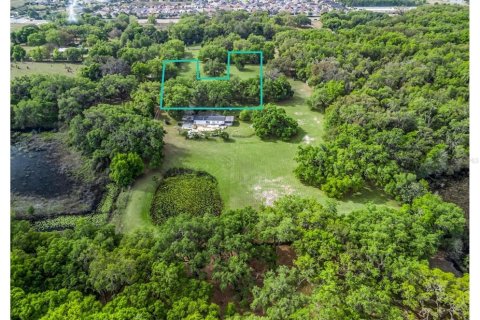 Commercial property in Fruitland Park, Florida 80.27 sq.m. № 2239839 - photo 6