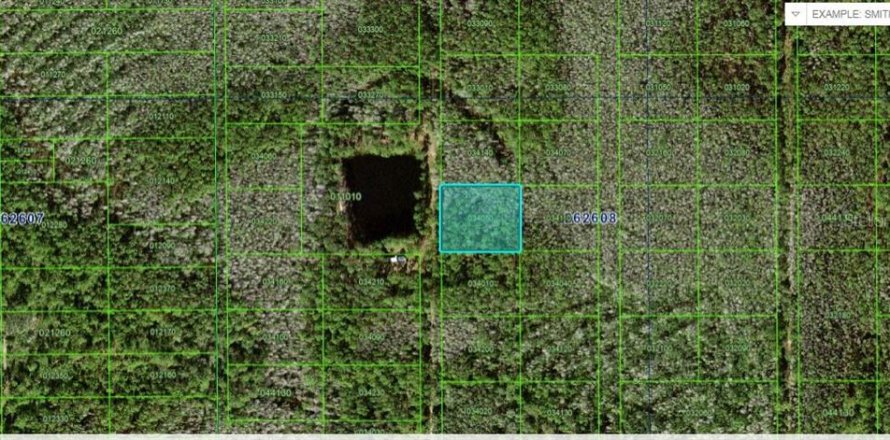 Land in Polk City, Florida № 2163751