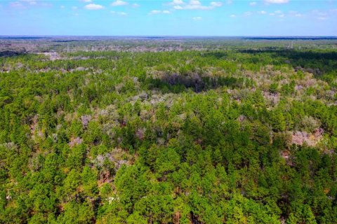 Land in Dunnellon, Florida № 1787868 - photo 4