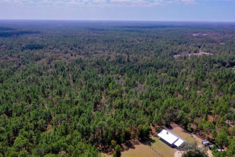 Land in Dunnellon, Florida № 1787868 - photo 11