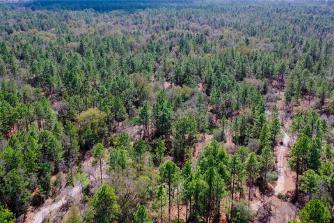 Land in Dunnellon, Florida № 1787868 - photo 21