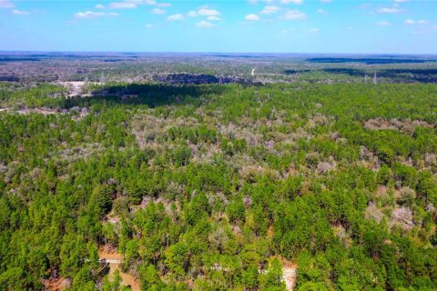 Land in Dunnellon, Florida № 1787868 - photo 8