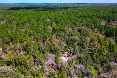 Land in Dunnellon, Florida № 1787868 - photo 19