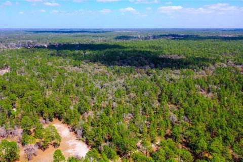 Land in Dunnellon, Florida № 1787868 - photo 5