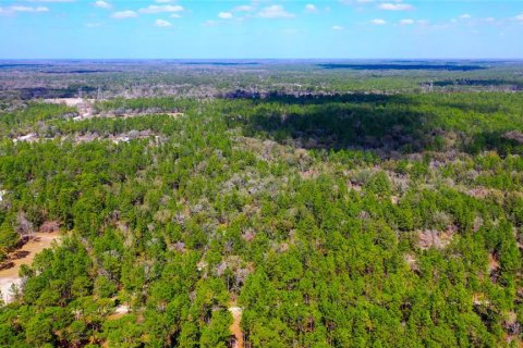 Land in Dunnellon, Florida № 1787868 - photo 6