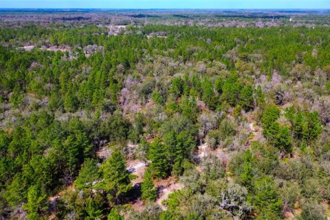 Land in Dunnellon, Florida № 1787868 - photo 18