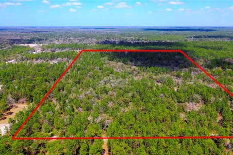 Land in Dunnellon, Florida № 1787868 - photo 2
