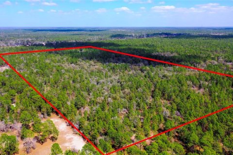 Land in Dunnellon, Florida № 1787868 - photo 1