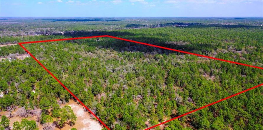 Land in Dunnellon, Florida № 1787868
