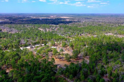 Land in Dunnellon, Florida № 1787868 - photo 22
