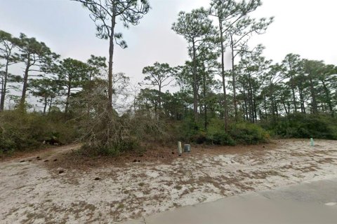 Terrain à vendre à Carrabelle, Floride № 2203348 - photo 2