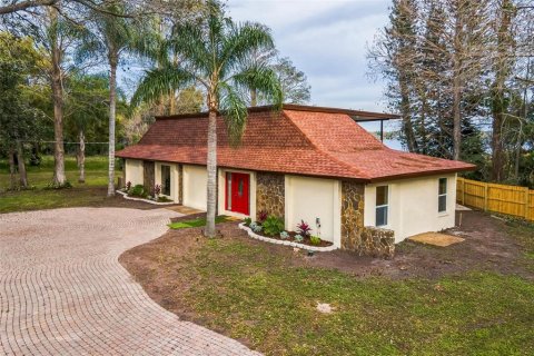 House in Tampa, Florida 4 bedrooms, 259.48 sq.m. № 1526375 - photo 1