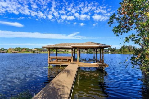 House in Winter Garden, Florida 5 bedrooms, 557.41 sq.m. № 1835034 - photo 8