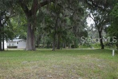 Land in Wildwood, Florida № 2277245