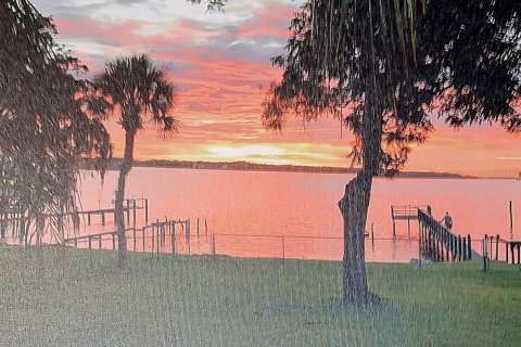 House in East Palatka, Florida 3 bedrooms, 148.27 sq.m. № 1898578 - photo 1