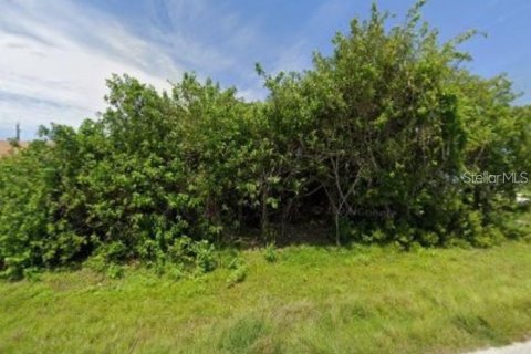 Land in Englewood, Florida № 1917989 - photo 4