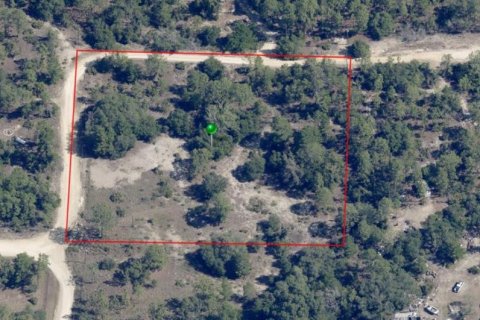 Land in Dunnellon, Florida № 1510126 - photo 2