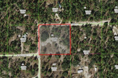 Land in Dunnellon, Florida № 1510126 - photo 1