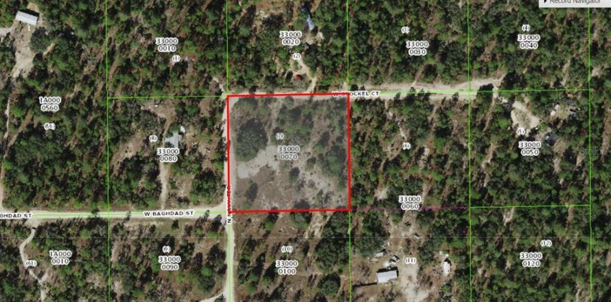 Land in Dunnellon, Florida № 1510126