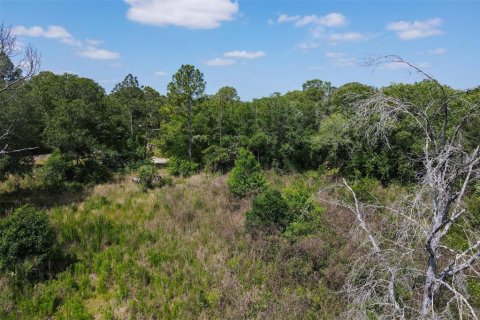 Terrain à vendre à Wimauma, Floride № 2222543 - photo 21