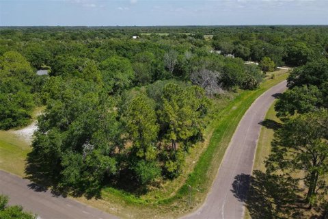 Terrain à vendre à Wimauma, Floride № 2222543 - photo 4
