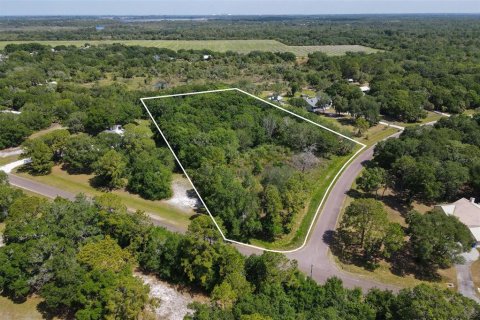 Land in Wimauma, Florida № 2222543