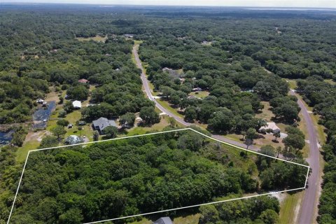 Terrain à vendre à Wimauma, Floride № 2222543 - photo 6