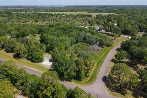 Terrain à vendre à Wimauma, Floride № 2222543 - photo 2