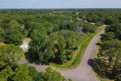 Terrain à vendre à Wimauma, Floride № 2222543 - photo 3