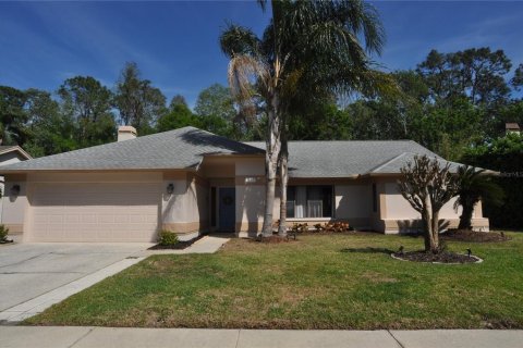 Villa ou maison à vendre à Palm Harbor, Floride: 4 chambres, 214.6 m2 № 1597728 - photo 1
