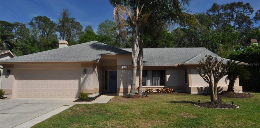 Villa ou maison à Palm Harbor, Floride 4 chambres, 214.6 m2 № 1597728