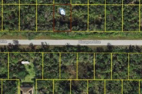 Land in Port Charlotte, Florida № 2164566 - photo 5