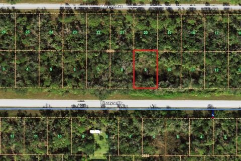 Land in Port Charlotte, Florida № 2164566 - photo 6