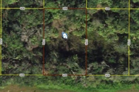 Land in Port Charlotte, Florida № 2164566 - photo 2